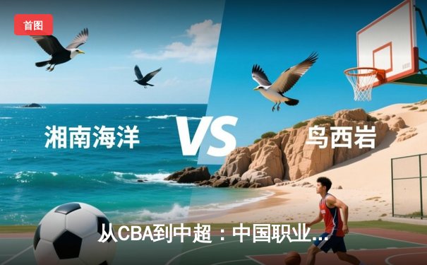 从CBA到中超：中国职业体育的转型阵痛与未来曙光