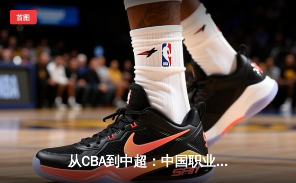 从CBA到中超：中国职业体育的转型阵痛与未来曙光